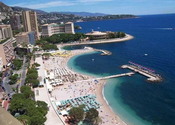 clipboard_image_0e9796ead15bdf5bde3d6d4e5ee75ea0