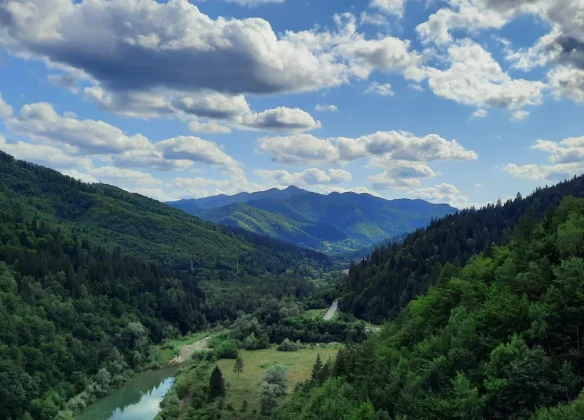 Снимок экрана 2025-08-18 в 18.11.09