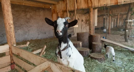 Снимок экрана 2025-08-19 в 16.16.35