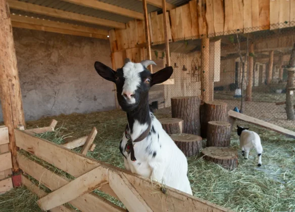 Снимок экрана 2025-08-19 в 16.16.35